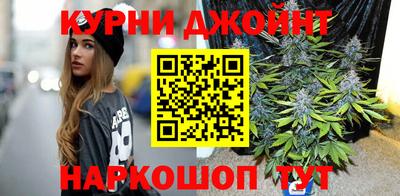 гидра Гусев