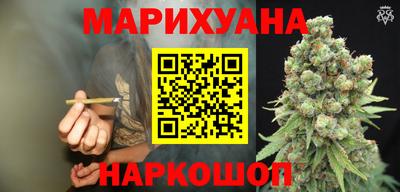 гидра Гусев
