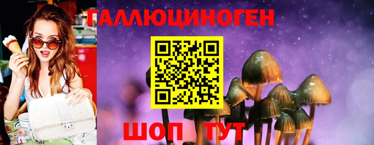 Муром  Псилоцибиновые грибы Psilocybe  Вход с VPN  Галлюциногенные грибы прущие грибы 
